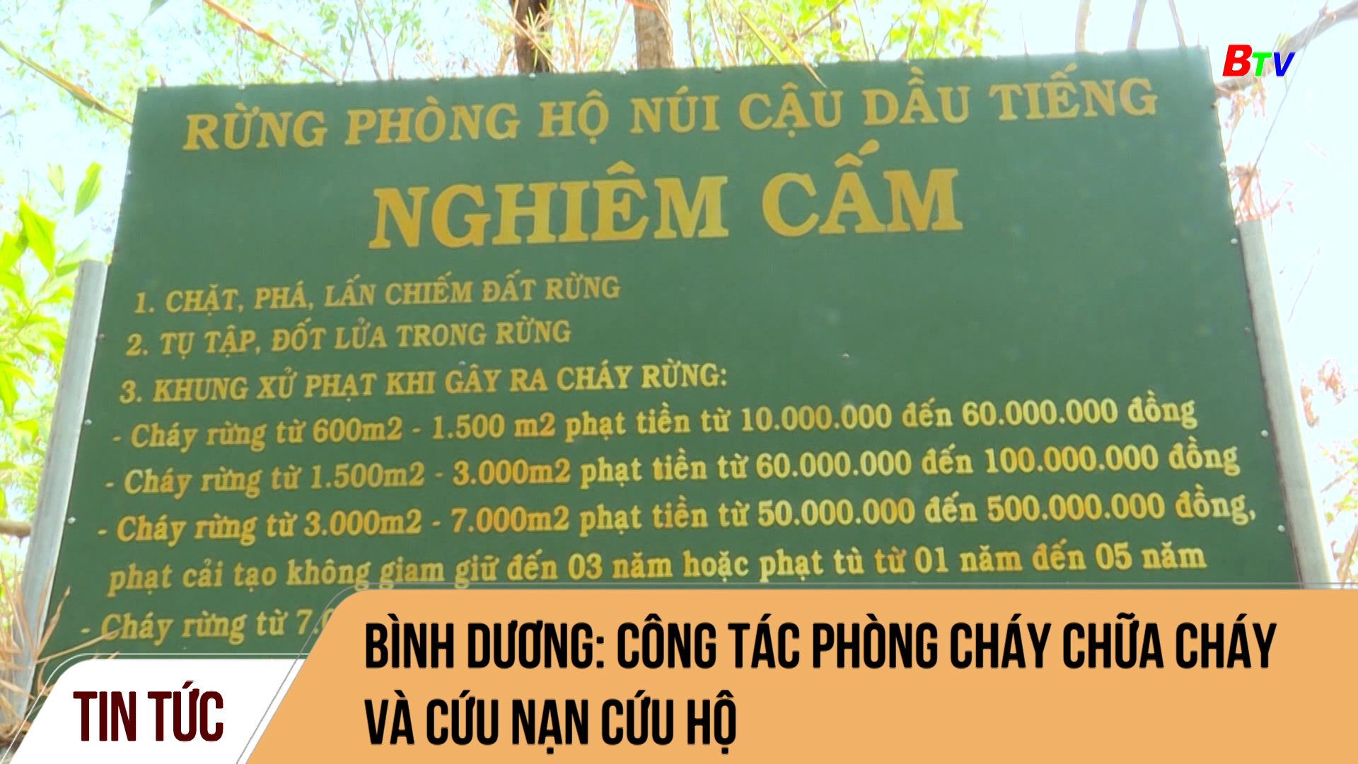 Bình Dương: công tác Phòng cháy chữa cháy và Cứu nạn cứu hộ